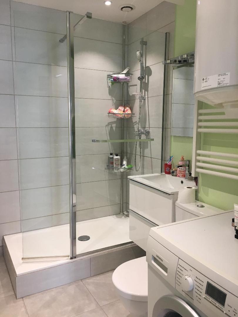 Proche Petite France Apartment Strasbourg